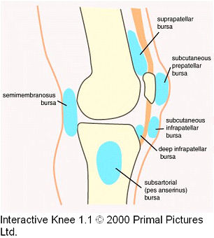 Bursitis patella clearance